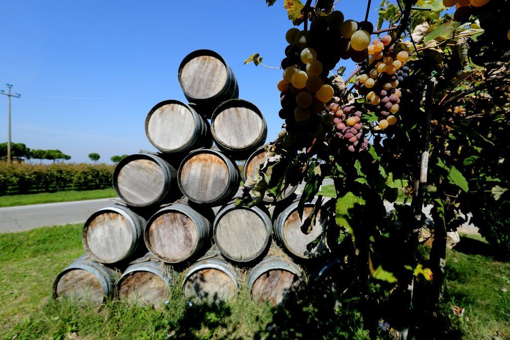 Agriturismo Trere Faenza Exteriör bild