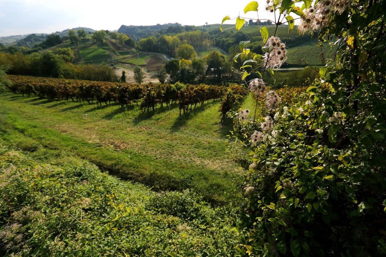 Agriturismo Trere Faenza Exteriör bild